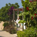 Terrace סייד
